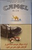 CamelCollectors https://thecamelcollectors.com/assets/images/pack-preview/IR-001-03-6ac8f62458ff4.jpg