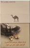 CamelCollectors https://thecamelcollectors.com/assets/images/pack-preview/IR-001-04-6ac8f63aeaff3.jpg