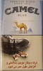 CamelCollectors https://thecamelcollectors.com/assets/images/pack-preview/IR-002-02-6ac8f6bb86eb0.jpg