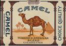 CamelCollectors https://thecamelcollectors.com/assets/images/pack-preview/IT-000-02.jpg