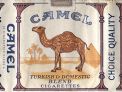 CamelCollectors https://thecamelcollectors.com/assets/images/pack-preview/IT-000-03.jpg