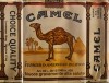 CamelCollectors https://thecamelcollectors.com/assets/images/pack-preview/IT-002-04-69ee101bcfc84.jpg