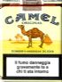 CamelCollectors https://thecamelcollectors.com/assets/images/pack-preview/IT-005-01.jpg