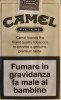 CamelCollectors https://thecamelcollectors.com/assets/images/pack-preview/IT-005-04-69ecde7cc8a2d.jpg