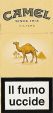 CamelCollectors https://thecamelcollectors.com/assets/images/pack-preview/IT-006-02.jpg