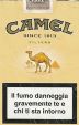 CamelCollectors https://thecamelcollectors.com/assets/images/pack-preview/IT-006-03.jpg