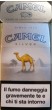 CamelCollectors https://thecamelcollectors.com/assets/images/pack-preview/IT-007-43-69ee0c7e8078f.jpg