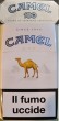 CamelCollectors https://thecamelcollectors.com/assets/images/pack-preview/IT-007-44-69ee0c92d68b9.jpg