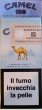 CamelCollectors https://thecamelcollectors.com/assets/images/pack-preview/IT-007-46-69ee0cb6c8675.jpg