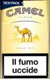 CamelCollectors https://thecamelcollectors.com/assets/images/pack-preview/IT-041-01.jpg