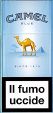 CamelCollectors https://thecamelcollectors.com/assets/images/pack-preview/IT-041-21.jpg
