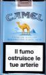 CamelCollectors https://thecamelcollectors.com/assets/images/pack-preview/IT-041-22.jpg