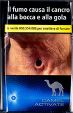 CamelCollectors https://thecamelcollectors.com/assets/images/pack-preview/IT-041-61.jpg