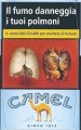 CamelCollectors https://thecamelcollectors.com/assets/images/pack-preview/IT-053-04-6a5248ef9e867.jpg