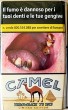 CamelCollectors https://thecamelcollectors.com/assets/images/pack-preview/IT-057-21-6899f1da218bc.jpg