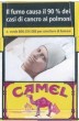 CamelCollectors https://thecamelcollectors.com/assets/images/pack-preview/IT-059-02-689a15f0aa0f8.jpg