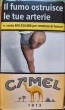 CamelCollectors https://thecamelcollectors.com/assets/images/pack-preview/IT-062-15.jpg