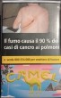 CamelCollectors Italy