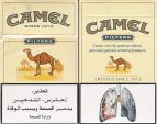 CamelCollectors https://thecamelcollectors.com/assets/images/pack-preview/JO-002-01.jpg