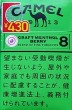 CamelCollectors https://thecamelcollectors.com/assets/images/pack-preview/JP-022-04-686cdb45b8f2e.jpg