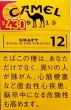 CamelCollectors https://thecamelcollectors.com/assets/images/pack-preview/JP-022-07-686cdbba2204e.jpg
