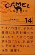 CamelCollectors https://thecamelcollectors.com/assets/images/pack-preview/JP-022-10-686cdc4064ca9.jpg