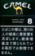 CamelCollectors https://thecamelcollectors.com/assets/images/pack-preview/JP-022-14-686cdccc2e8b9.jpg