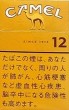 CamelCollectors https://thecamelcollectors.com/assets/images/pack-preview/JP-022-16-686cdcfcd3932.jpg