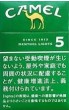 CamelCollectors https://thecamelcollectors.com/assets/images/pack-preview/JP-022-17-686cdd15295bd.jpg
