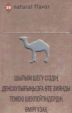 CamelCollectors https://thecamelcollectors.com/assets/images/pack-preview/KZ-002-05.jpg