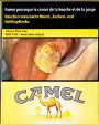 CamelCollectors https://thecamelcollectors.com/assets/images/pack-preview/LU-006-57.jpg