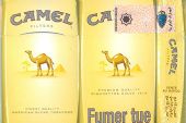 CamelCollectors https://thecamelcollectors.com/assets/images/pack-preview/MA-000-05.jpg