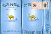 CamelCollectors https://thecamelcollectors.com/assets/images/pack-preview/MA-000-06.jpg