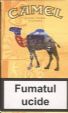 CamelCollectors https://thecamelcollectors.com/assets/images/pack-preview/MD-004-03.jpg