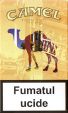 CamelCollectors https://thecamelcollectors.com/assets/images/pack-preview/MD-004-05.jpg