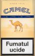 CamelCollectors https://thecamelcollectors.com/assets/images/pack-preview/MD-006-01.jpg