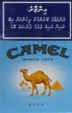 CamelCollectors https://thecamelcollectors.com/assets/images/pack-preview/MV-002-03.jpg