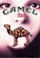 CamelCollectors https://thecamelcollectors.com/assets/images/pack-preview/MX-009-02.jpg