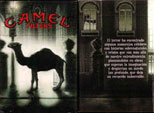 CamelCollectors https://thecamelcollectors.com/assets/images/pack-preview/MX-009-03.jpg
