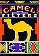 CamelCollectors https://thecamelcollectors.com/assets/images/pack-preview/MX-011-06.jpg
