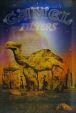 CamelCollectors https://thecamelcollectors.com/assets/images/pack-preview/MX-014-10.jpg