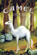 CamelCollectors https://thecamelcollectors.com/assets/images/pack-preview/MX-021-33.jpg