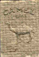 CamelCollectors https://thecamelcollectors.com/assets/images/pack-preview/MX-026-12.jpg