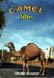 CamelCollectors https://thecamelcollectors.com/assets/images/pack-preview/MX-027-04.jpg