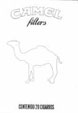 CamelCollectors https://thecamelcollectors.com/assets/images/pack-preview/MX-027-08.jpg