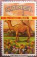 CamelCollectors https://thecamelcollectors.com/assets/images/pack-preview/MX-040-08.jpg