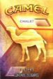 CamelCollectors https://thecamelcollectors.com/assets/images/pack-preview/MX-069-15.jpg