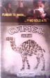 CamelCollectors https://thecamelcollectors.com/assets/images/pack-preview/MX-080-04.jpg