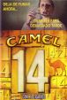 CamelCollectors https://thecamelcollectors.com/assets/images/pack-preview/MX-081-02.jpg