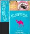 CamelCollectors https://thecamelcollectors.com/assets/images/pack-preview/MX-084-01.jpg